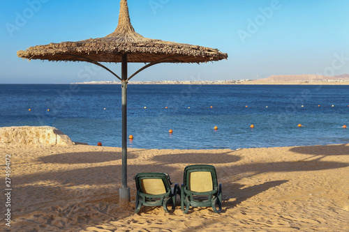 Parasol and sunbeds on the beach to the reed sea. photo