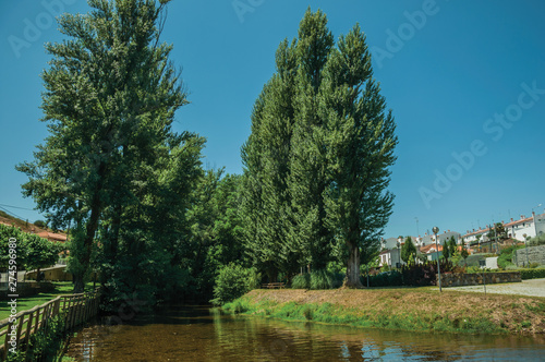 Sever River among trees in Portagem photo