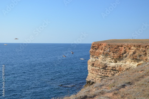 Crimea cape Tarkhankut photo