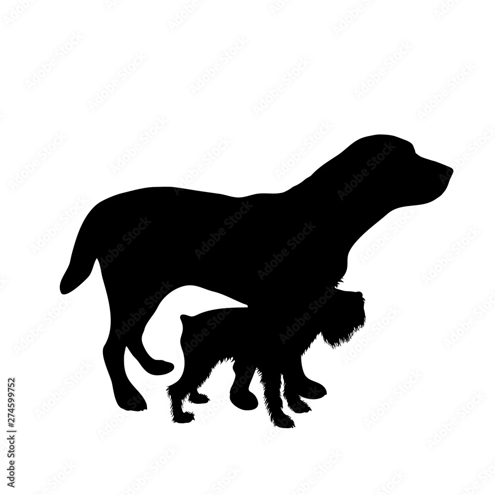 Vector silhouette of couple of dogs. Symbol of animal friends on white background.