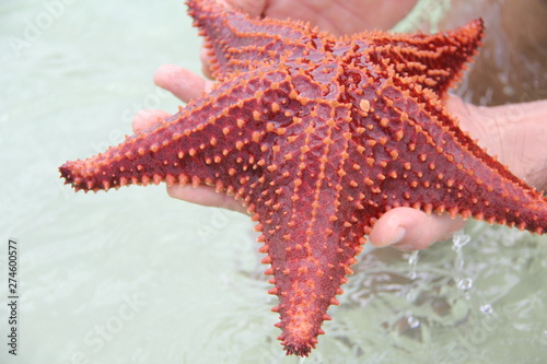 island summer trip grand cayman