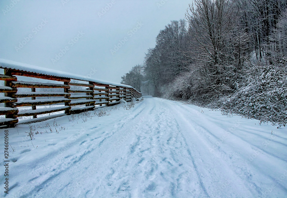 Fototapeta premium Winter road Snowy country road stretching into the distance