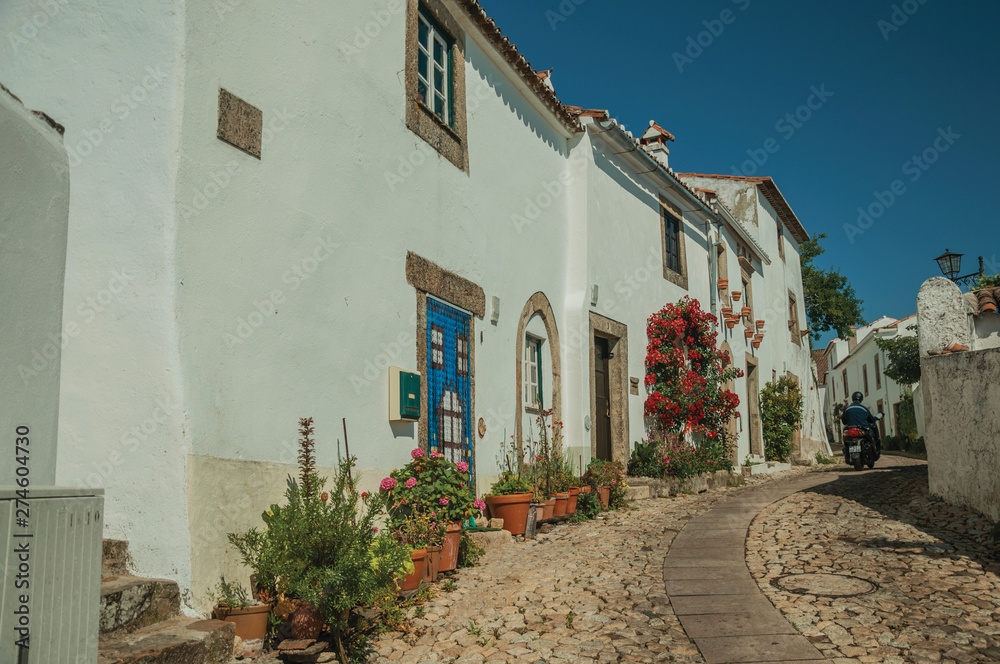 Fototapeta premium Old whitewashed houses and flowered shrubs in cobblestone alley