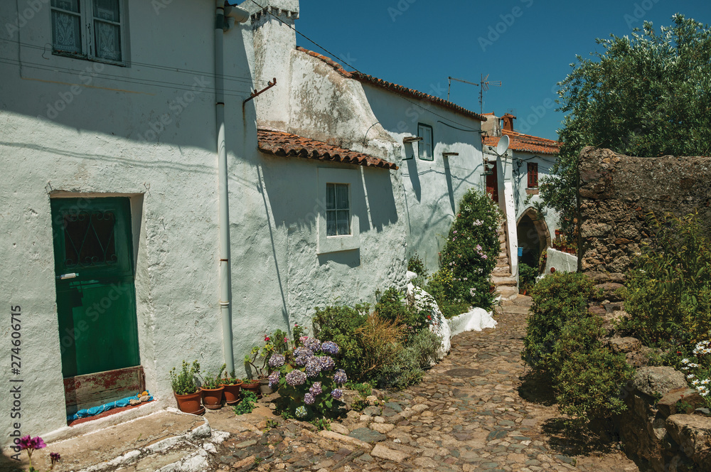 Obraz premium Old houses with whitewashed wall in an alley with flowers