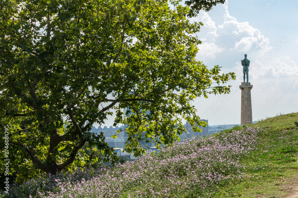 Victor monument on Kalemegdan fortress, symbol and landmark of Belgrade Serbia. Beautiful purple flowers in the foreground. Bright, sunny, summer day.