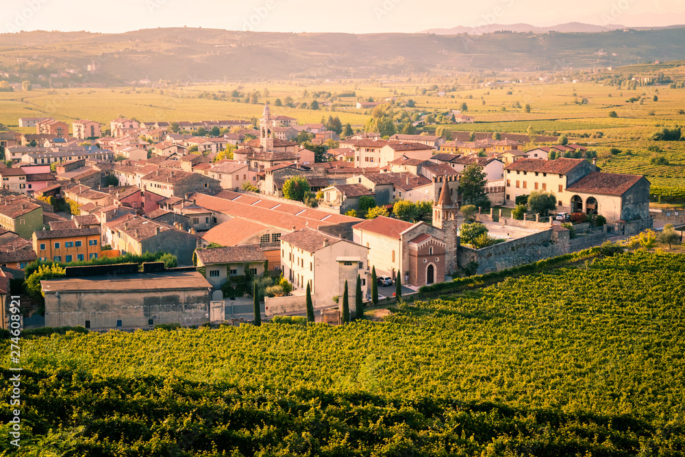 Obraz premium View of Soave (Italy) surrounded by vineyards.