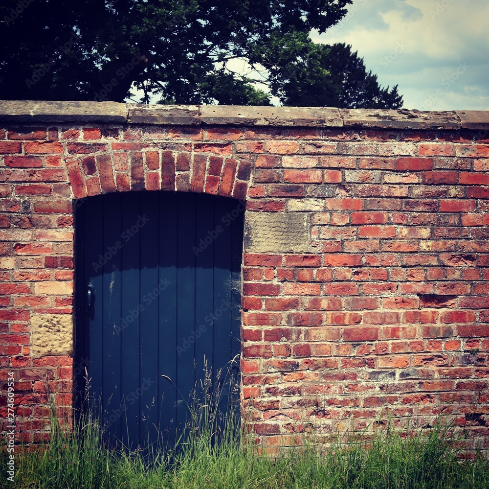 Obraz premium red door in brick wall