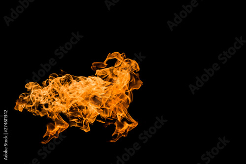 Fire a flame in the shape of a lamb or a sheep. Fire flames on black background isolated. fire patterns © Yevgeniy