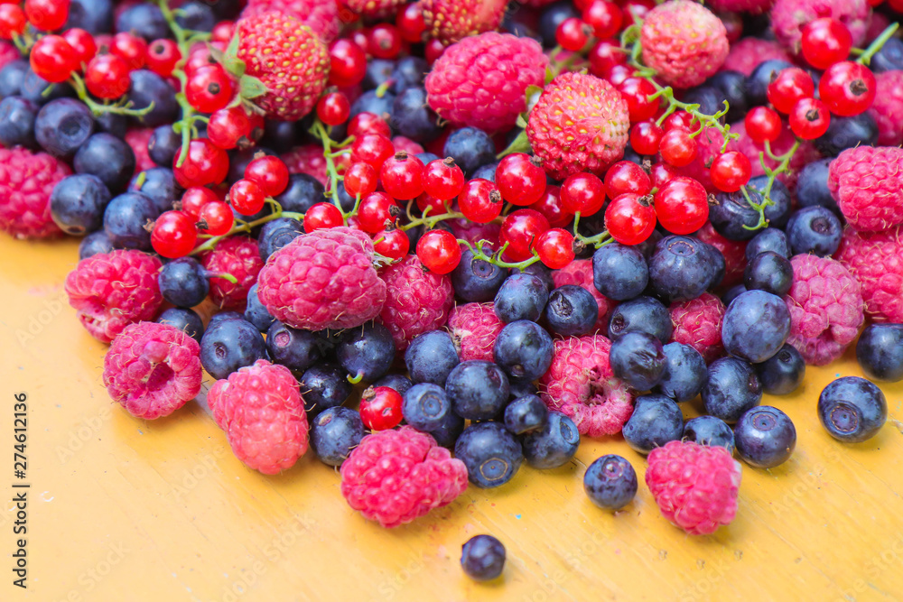 black berry red currant strawberry and raspberry berries freshly picked in the forest black berry red currant strawberry and raspberry berries freshly picked in the forest