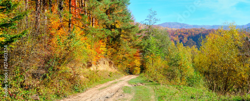 Autumn landscape with picturesque forest and old country road. Wide photo.