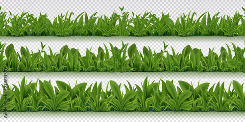 Realistic seamless grass border. Spring pattern with 3D spring herbs, realistic green grass background. Vector green herbs isolated field set