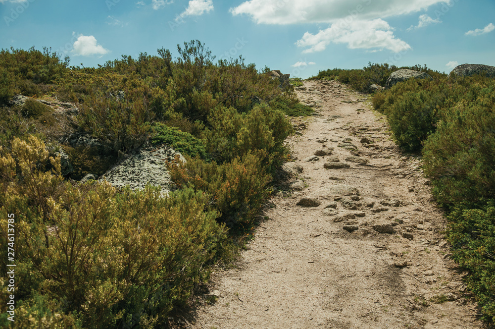 Trail passing through rocky terrain on highlands Trail passing through rocky terrain on highlands