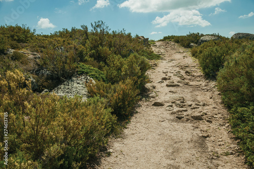 Trail passing through rocky terrain on highlands