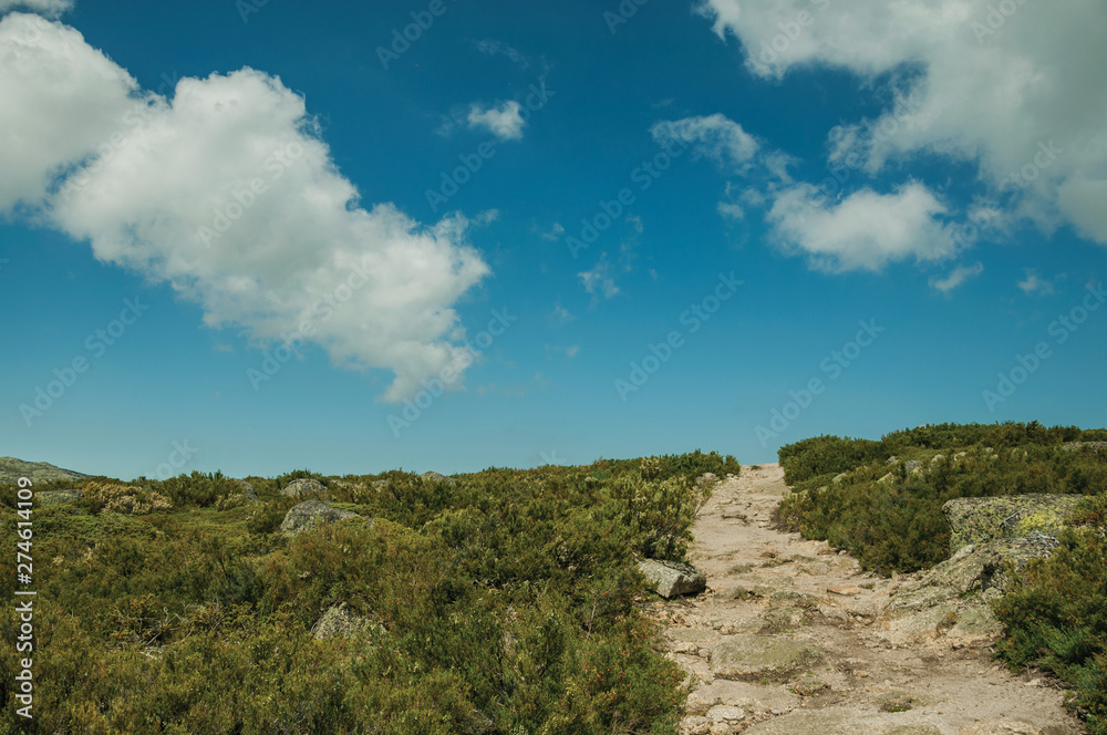 Trail passing through rocky terrain on highlands Trail passing through rocky terrain on highlands