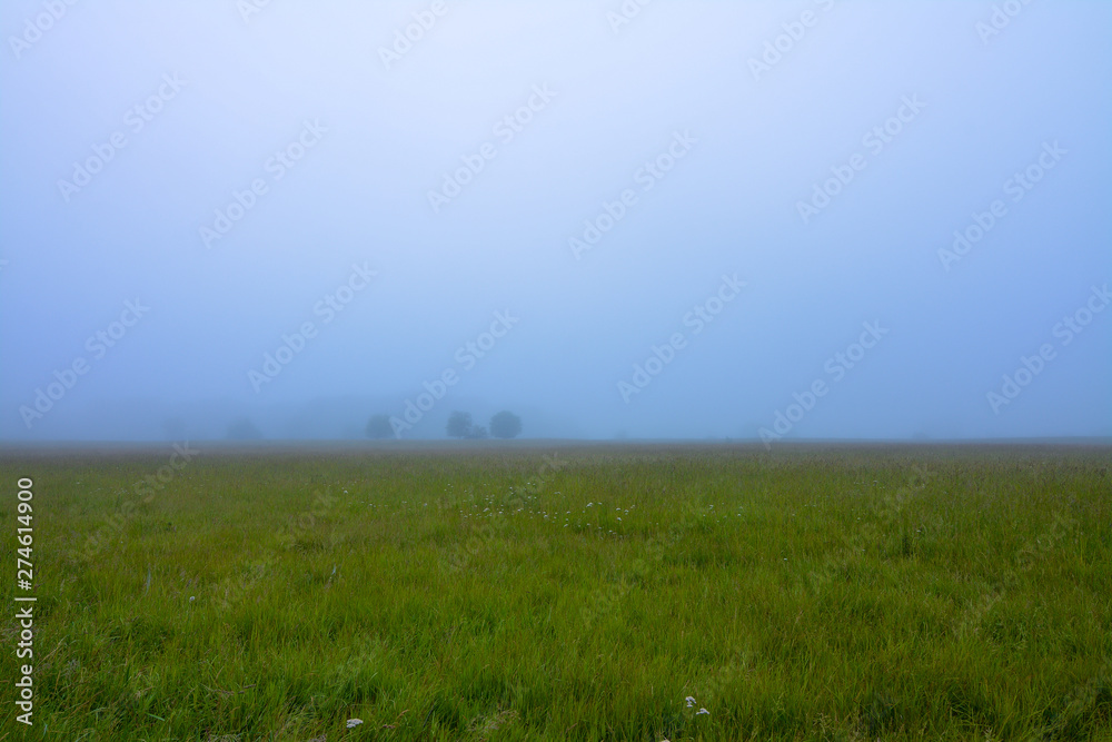 Foggy morning in Midewin