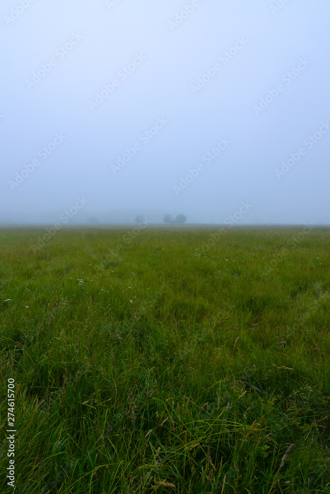 Fototapeta premium Foggy morning in Midewin