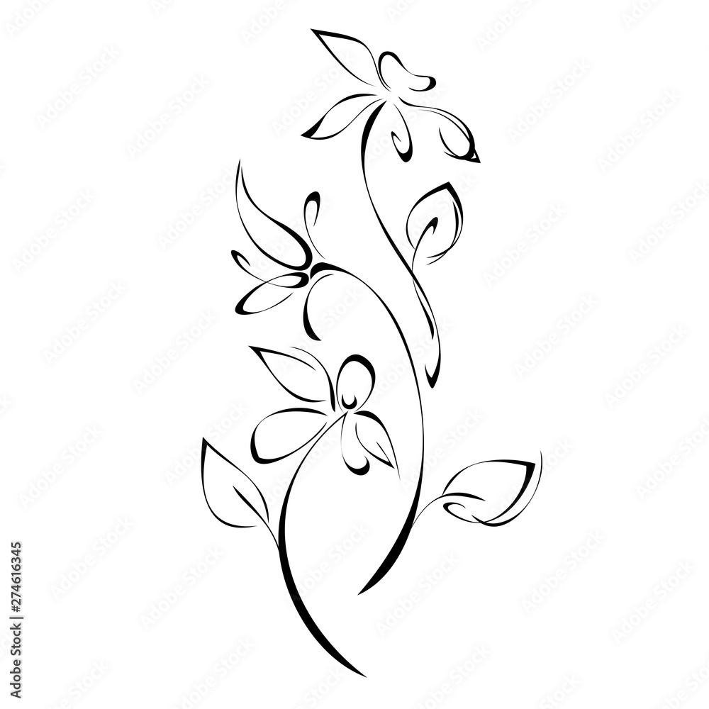 three stylized flowers on stems with leaves in black lines on a white background three stylized flowers on stems with leaves in black lines on a white background