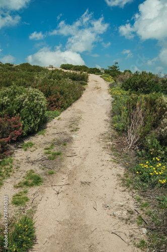 Trail going through rocky terrain on highlands