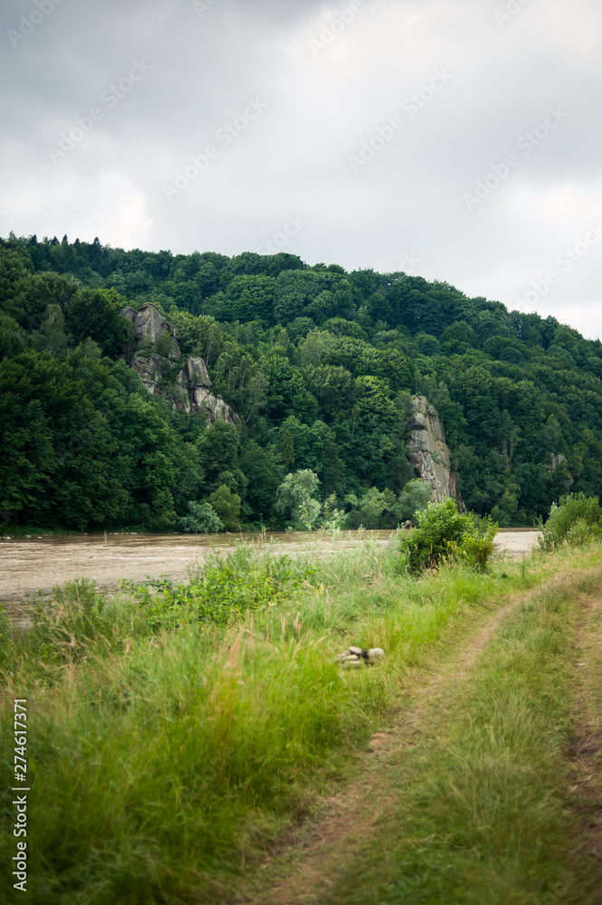 A swift mountain river, shore of pebbles. Flows through the coniferous forest A swift mountain river, shore of pebbles. Flows through the coniferous forest