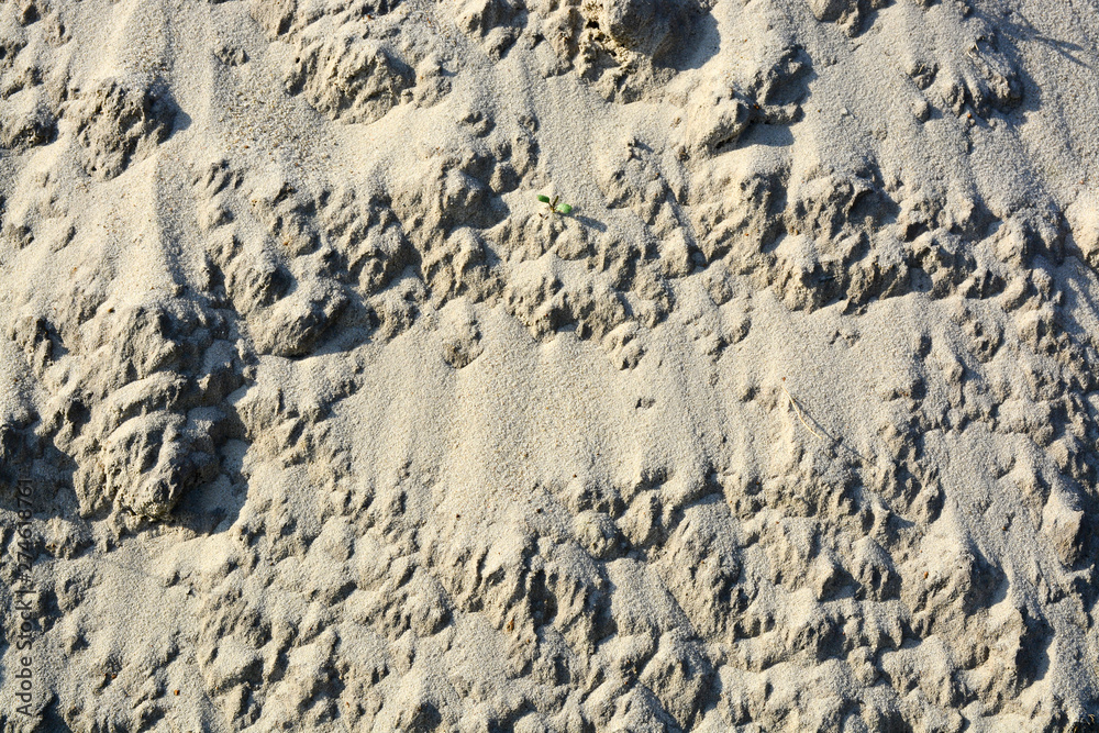 sand texture sand texture