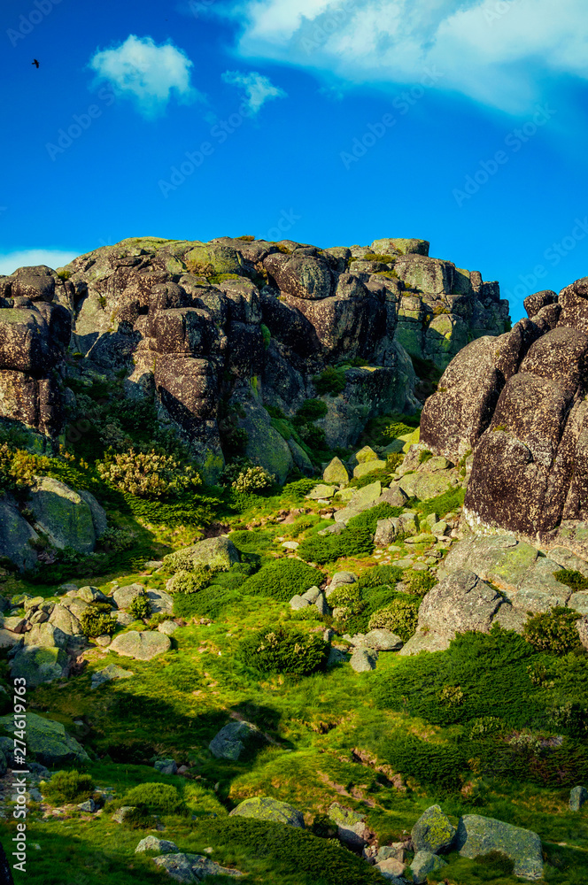 Hilly landscape of green ravine with rocks