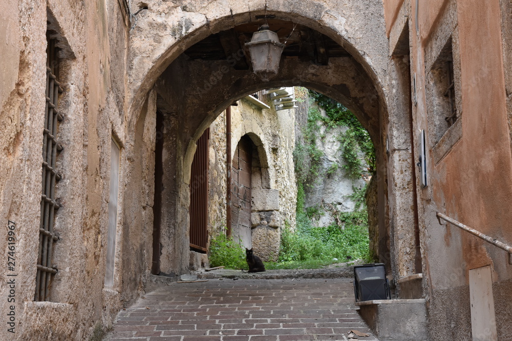 A small family of cats in the alleys of Arpino in Italy