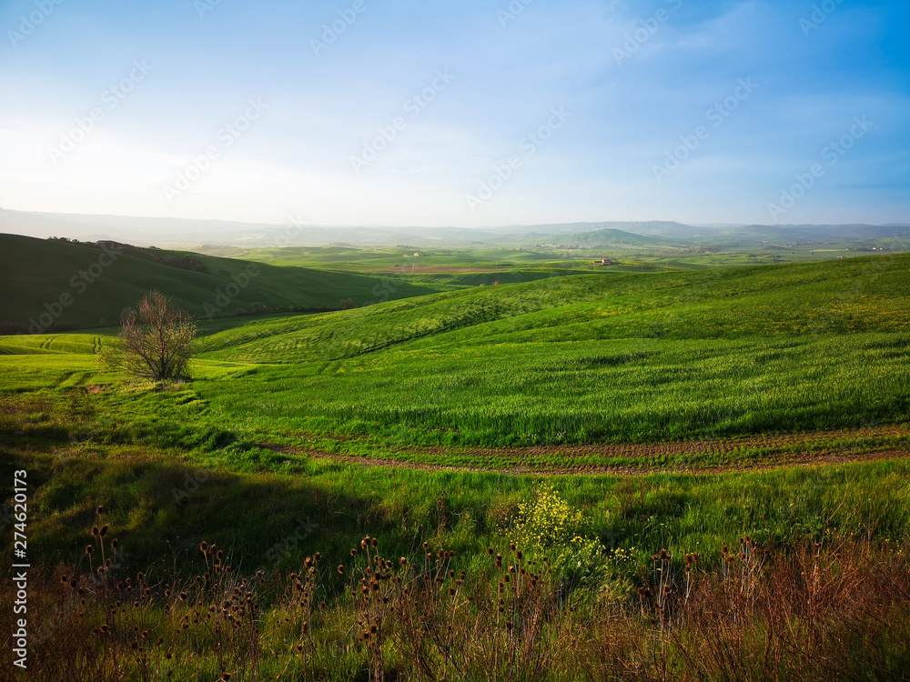 Landscape in spring. Landscape in spring.