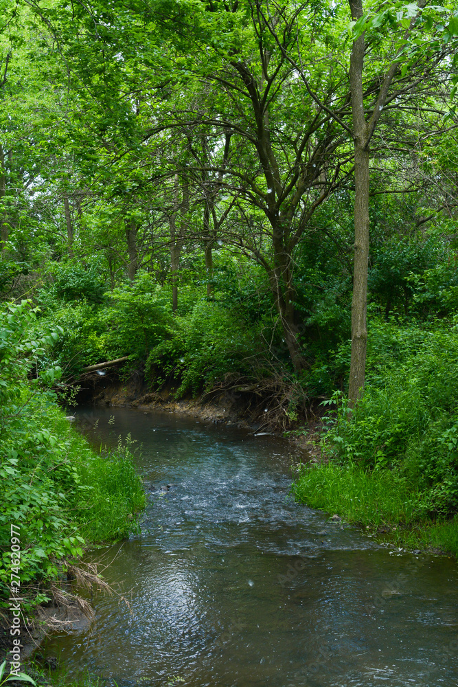 Prairie Creek