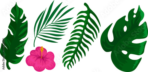 Tropical set of leaves and flowers. Trendy design for towel  cosmetic  spa  bottle. Summer time. Vector isolated illustration on white background.