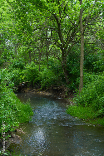 Prairie Creek