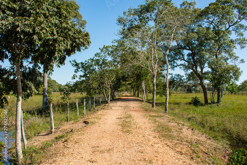 Entrada fazenda estrada rustica de terra natura;