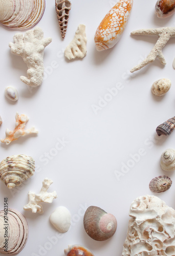 Sea shells, stones, mussels and corals frame.
