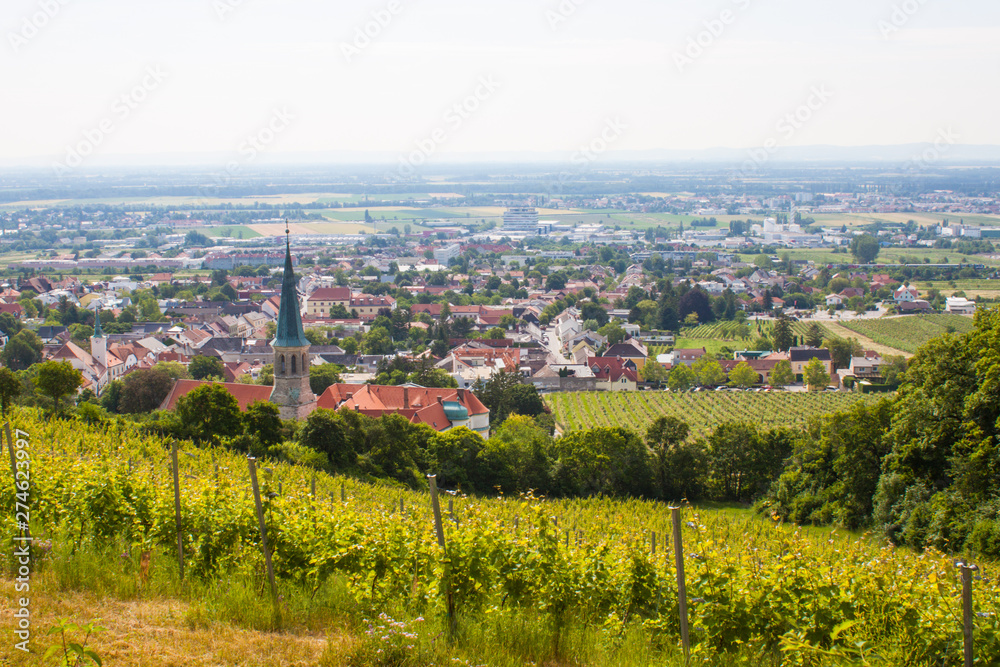 Gumpoldskirchen Austria vineyards.