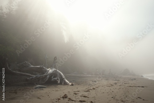 Pacific northwest beach sunrise