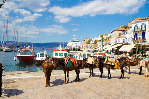 Wonderful  Hydra  island :  pack horses