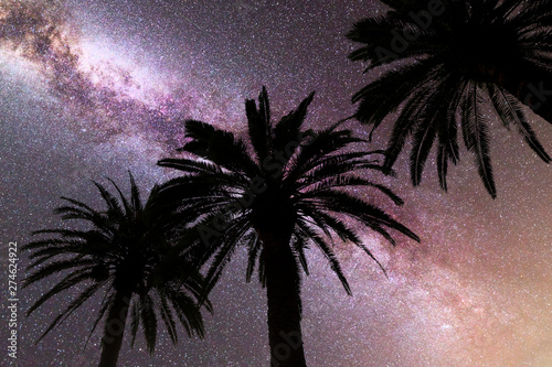 Purple Milky way falling stars palm trees photo