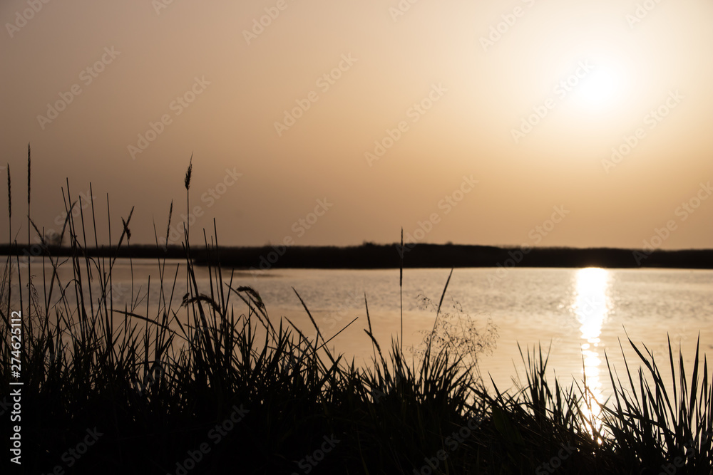 Sunset, sea, nature.