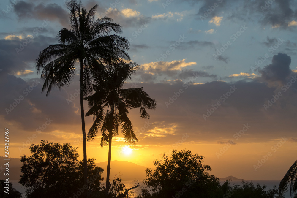  Tropischer Sonnenuntergang mit Palmensilhouette
