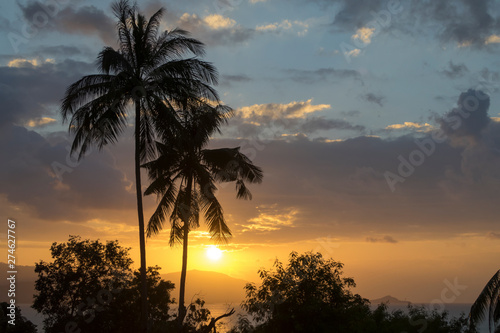  Tropischer Sonnenuntergang mit Palmensilhouette