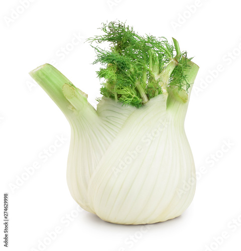 Fennel Bulb. Single fresh fennel bulb with leaves on white background