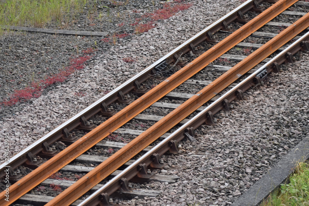 Fototapeta premium railroad tracks