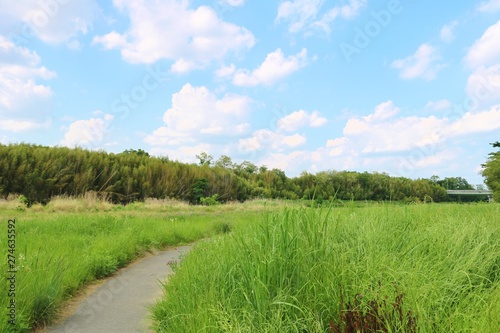 風景 春 空 雲 緑 思川 河川敷 杤木