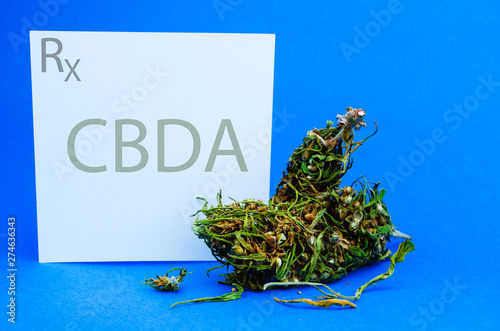 Medical cannabis concept. Flowers buds of marijuana and prescription for CBDA. Cbd or Thc weed or hemp photo