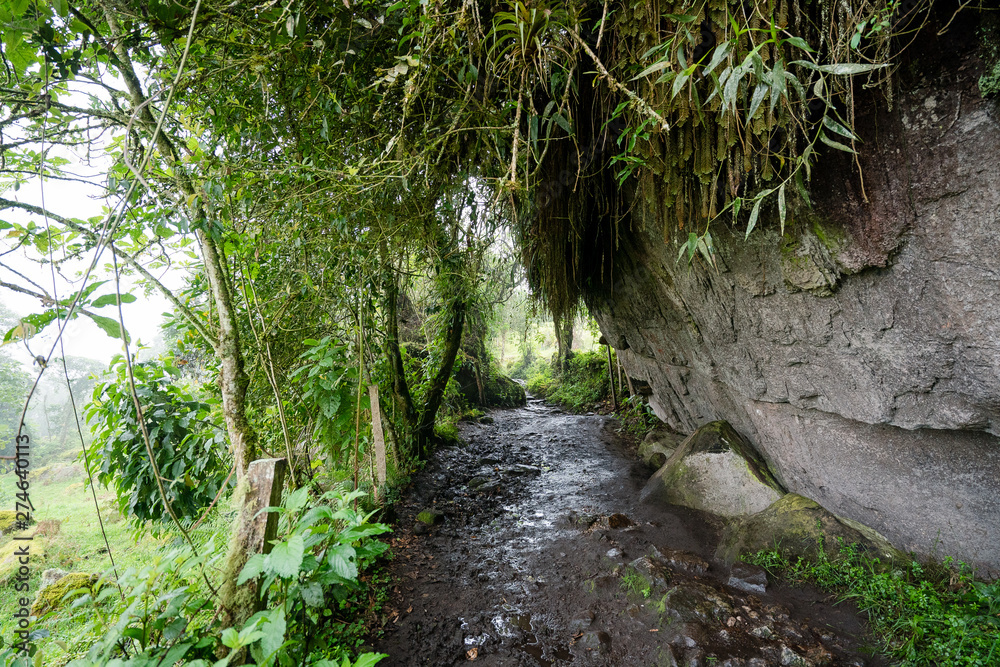 La Chorrera_ Choachí - Cundinamarca_Turismo Rural La Chorrera_ Choachí - Cundinamarca_Turismo Rural