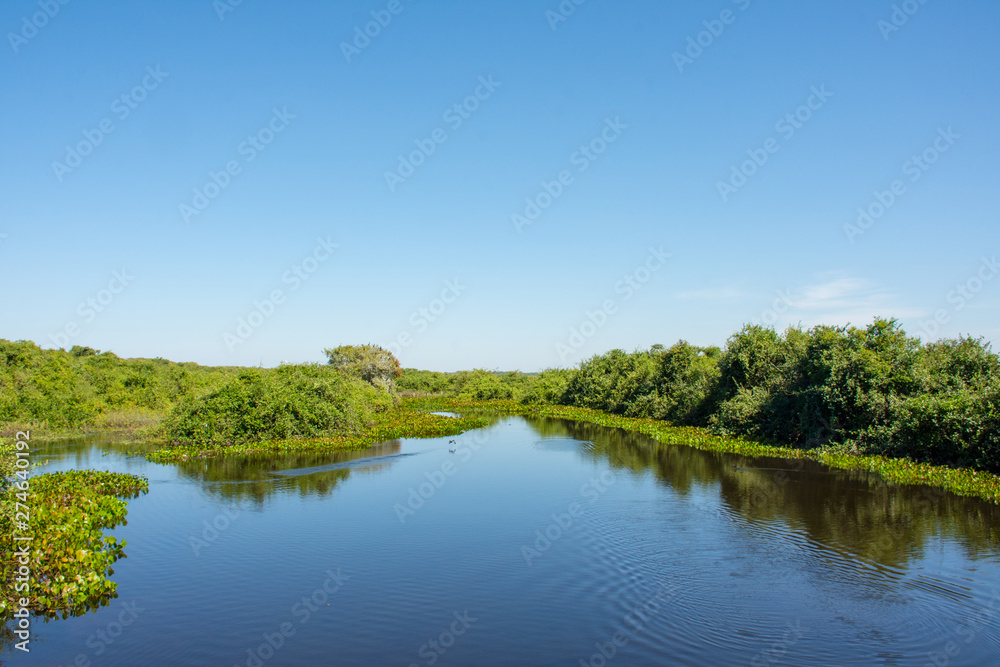 Vista da natureza com lago natural em meio ao verde da paisagem Vista da natureza com lago natural em meio ao verde da paisagem