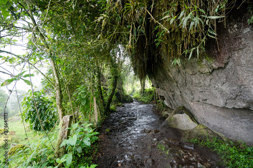 La Chorrera_ Choachí - Cundinamarca_Turismo Rural photo