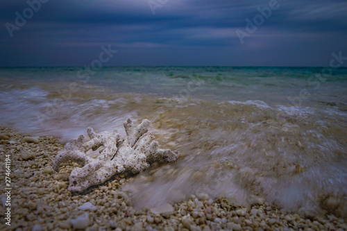 Dead coral flushing by the sea wave