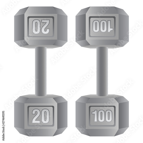 Metal dumbbell weight set vector icon illustration graphic