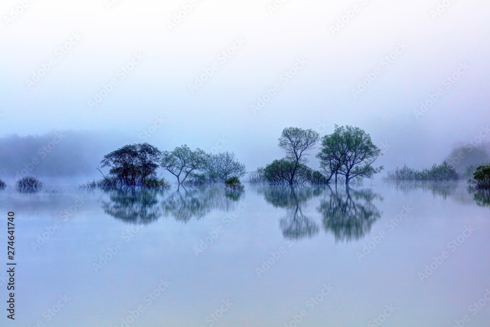 朝靄と新緑の白川湖 Stock Photo Adobe Stock