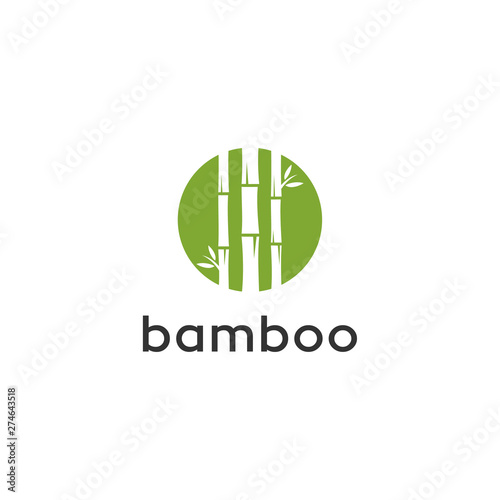 bamboo tree vector logo design
